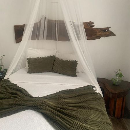 فندق Casa Borush By Ecoplaneta كانكون المظهر الخارجي الصورة