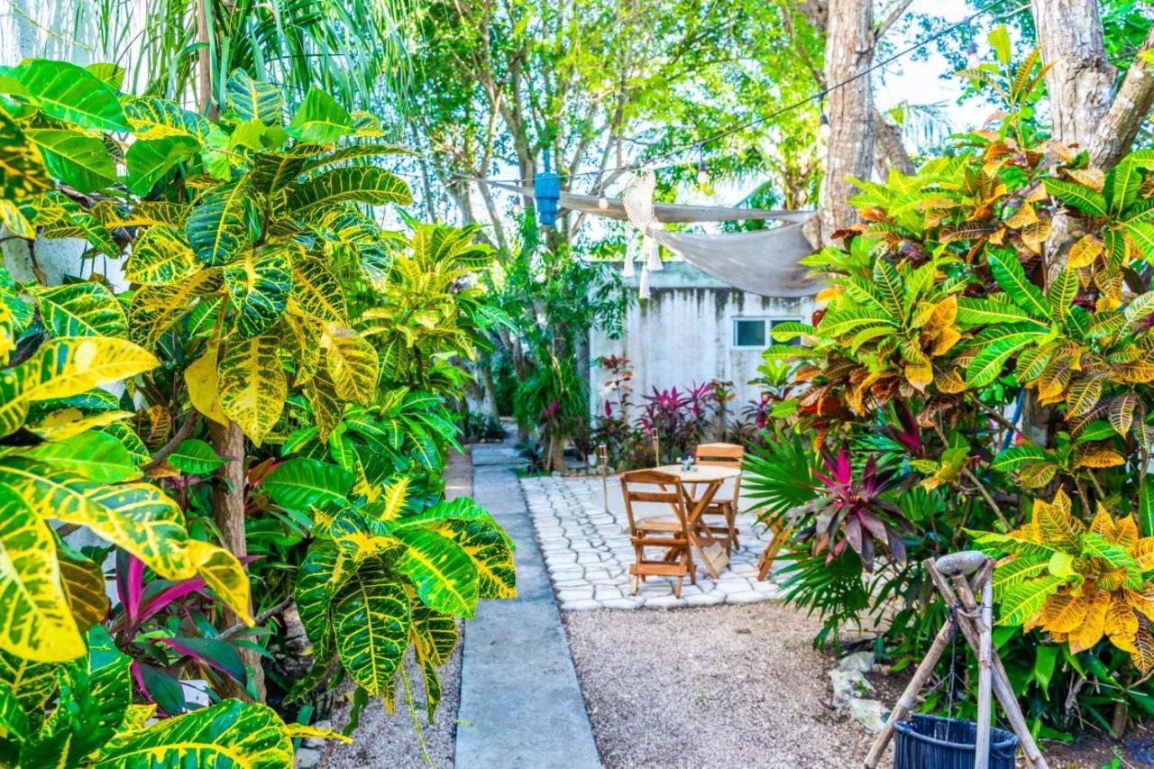 فندق Casa Borush By Ecoplaneta كانكون المظهر الخارجي الصورة